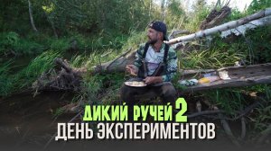 День экспериментов. Дикий ручей
