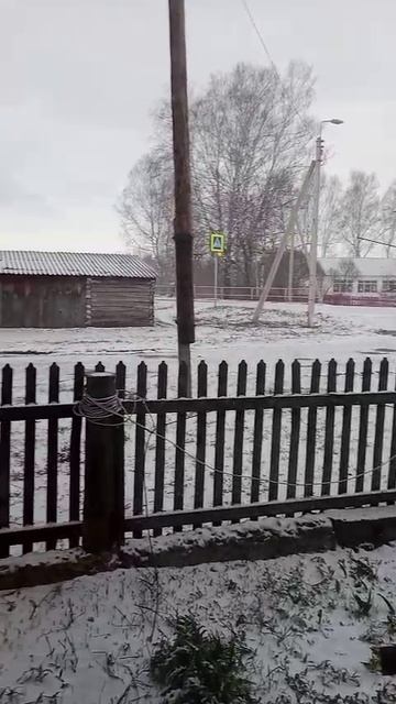 погода в алтайском крае село Залесово после снегопада апрель