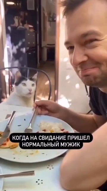 нормальный мужик #shorts