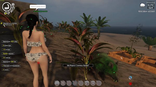 Island Notes #8 прохождение