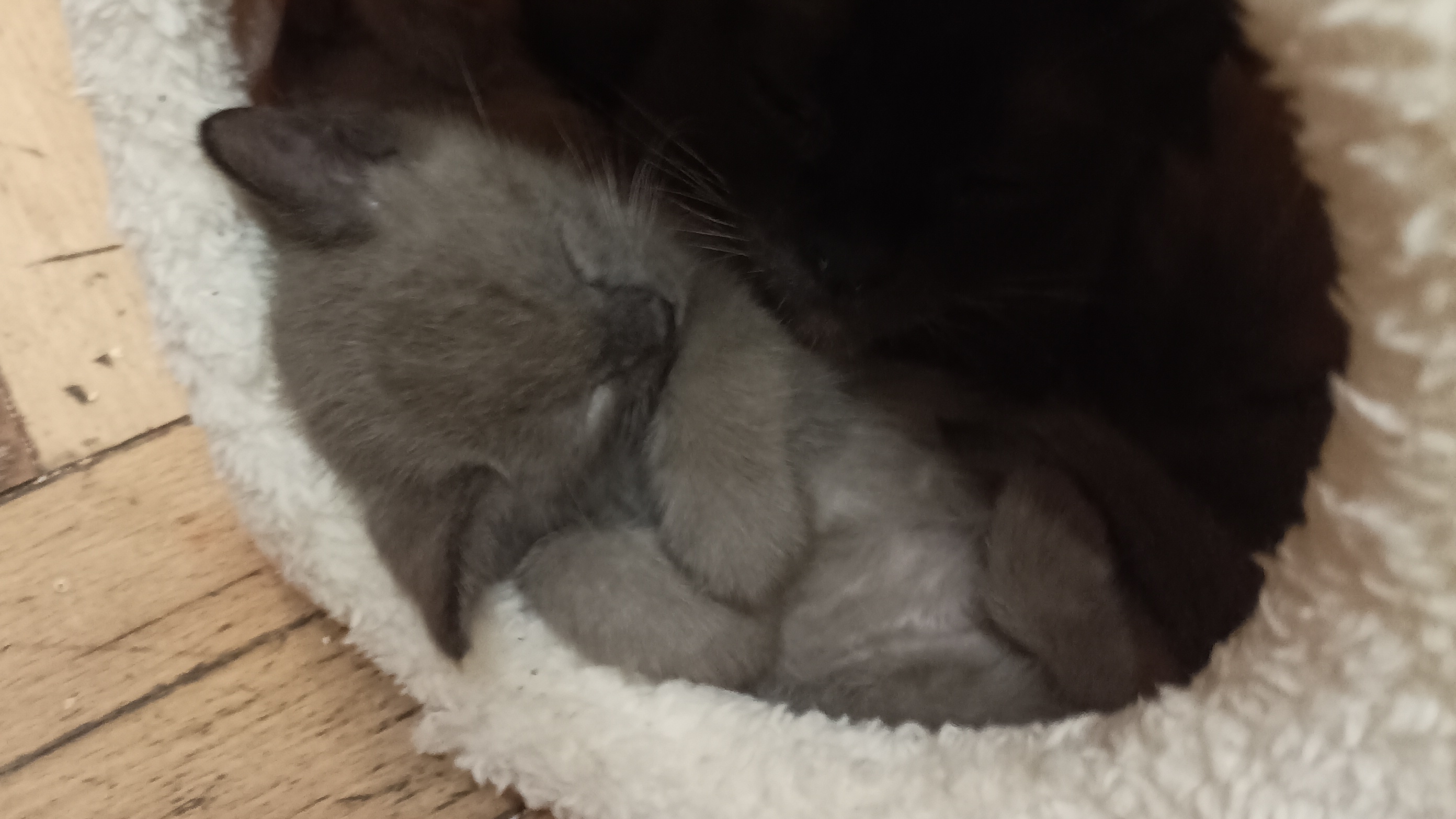 Ой как мы похожи)