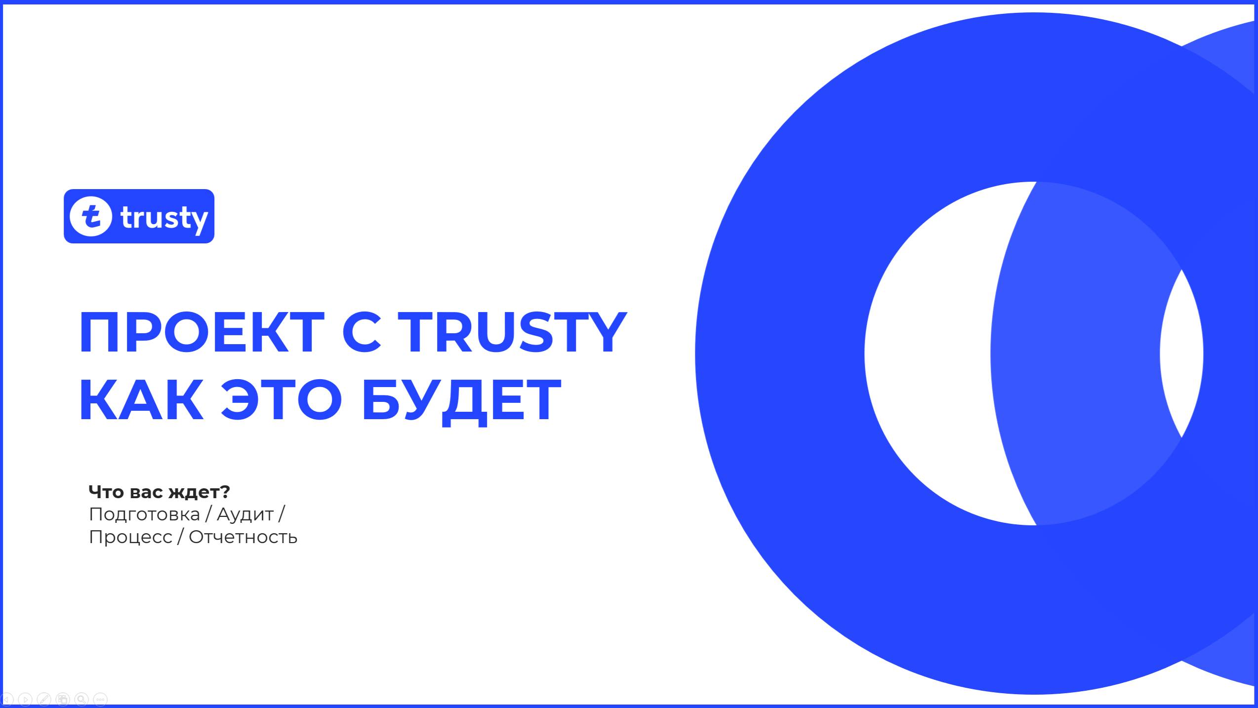 Как выглядит проект с Trustyone.ru