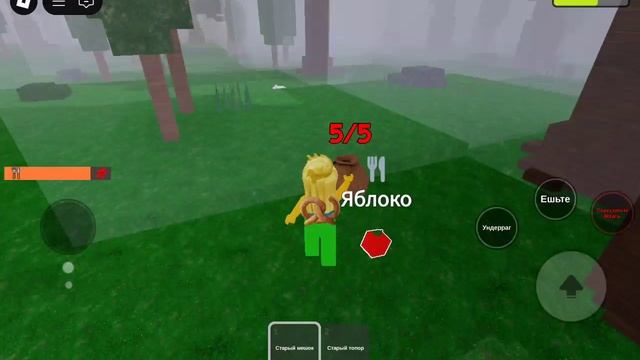 выживаю в домиках