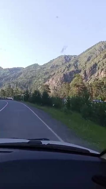 едим домой через горный Алтай мустанг