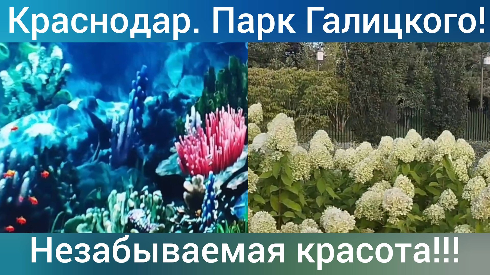 Из Сибири в Адыгею