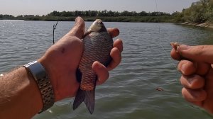 Лето закончилось! Рыбалка на боковой кивок!