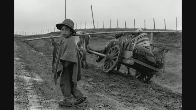 Знакомство с творчеством Раймон Депардон смотреть онлайн
