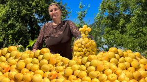 Сок из спелых абрикосов в банке: готовим вместе с бабушкой!