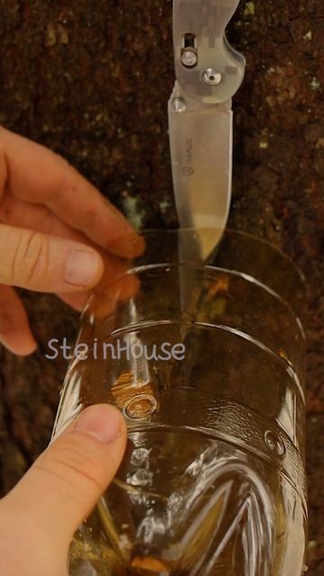 Креативные идеи для выживания - Как сделать веревку из мусора в лесу