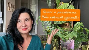 Комнатные растения и осень: что стоит сделать сейчас