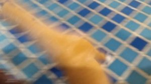 Лошади шляйх🐎Приключения в бассейне🏊🌊🫧