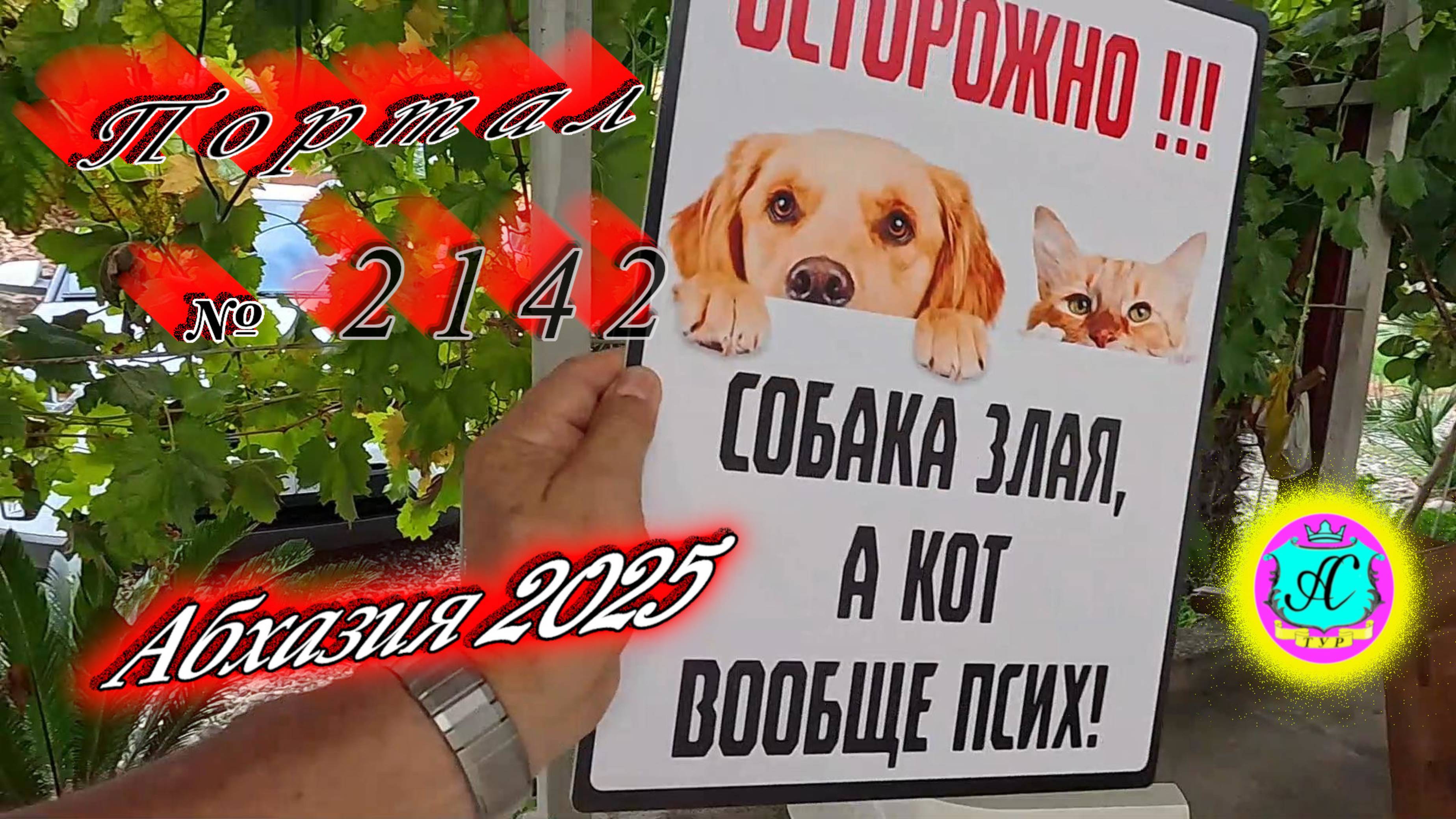 #Абхазия2025🌴 2.09.25г. Выпуск №2142🌡вчера +31°🌡ночью +25°🐬море +27,7❗ смотреть онлайн
