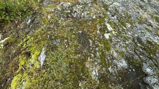 Медвежьегорск - открытие путешествия | Суровый северный трип | День 5-6