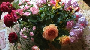 Цветы в саду