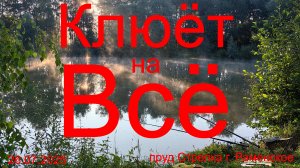 Клюёт на всё.  26.07.2025. пруд Стрелка. г. Раменское. Рыбалка в Подмосковье.
