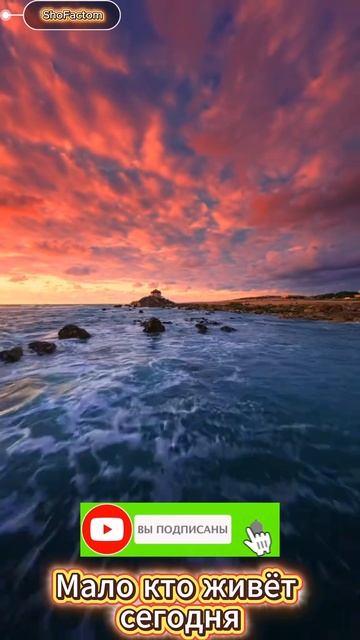 Мало кто живёт сегодня — Джонатан Свифт