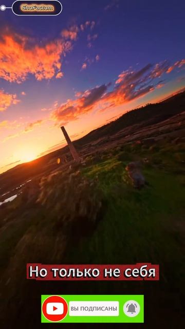 Но только не себя