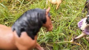 Сериал шляйх /2 серия/
,, Кукушка"