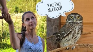 Урожай мухоморов на участке. Вешаем огоньки и сердим сычика Пунька.  Совсем сову затревожили