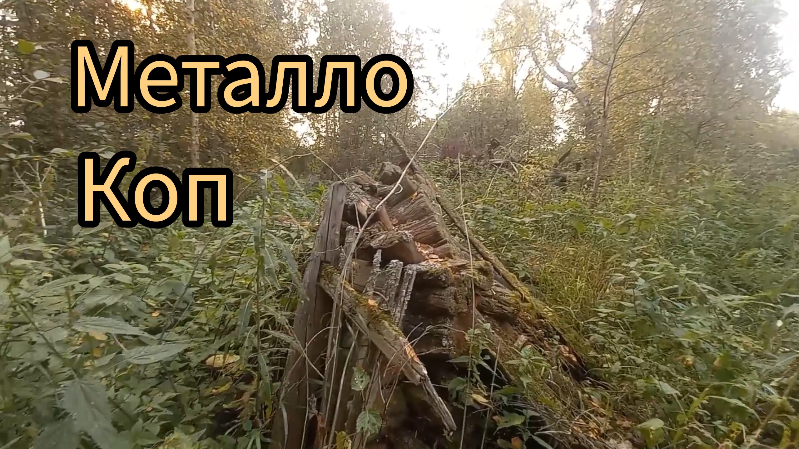 ОДИН В ЛЕСУ.