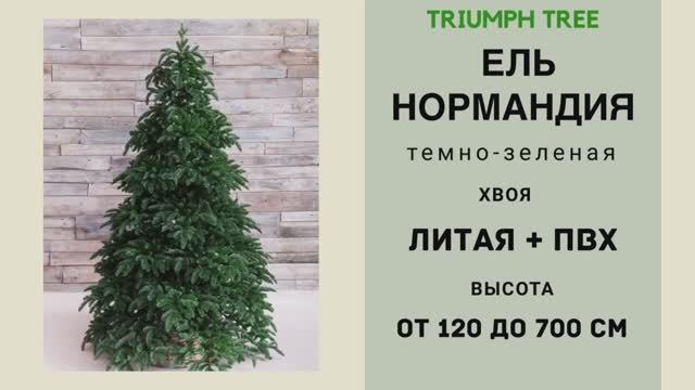 Triumph Tree - ОБЗОР искусственной ели Нормандия темно-зеленая смотреть онлайн
