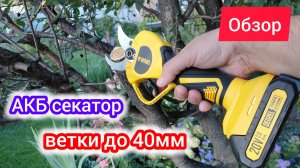 Обзор АКБ секатора DENZEL CP-40BL | садовый набор часть 1