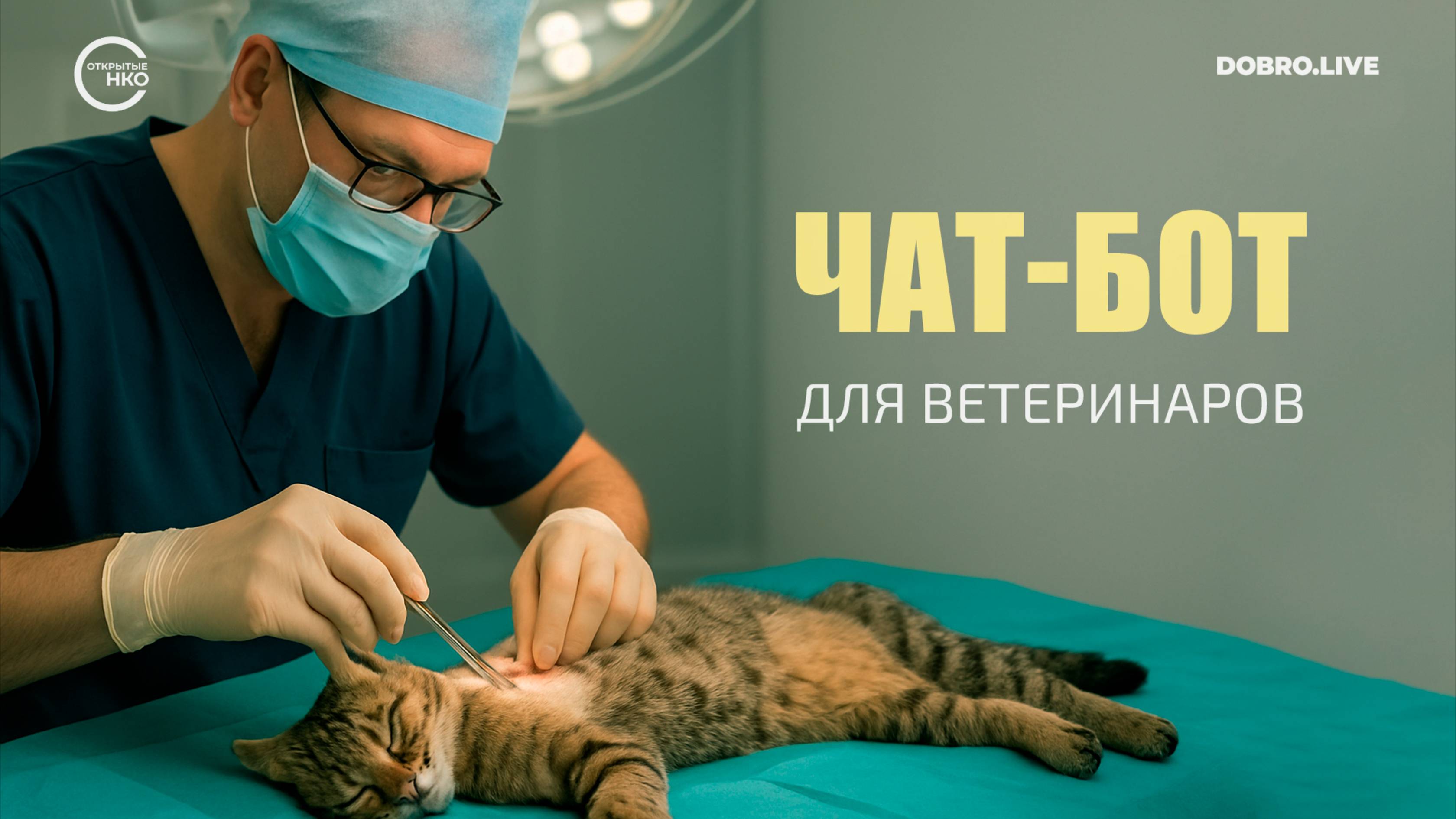 Зоозащитники создадут чат-бот «Спасенные дикие» смотреть онлайн