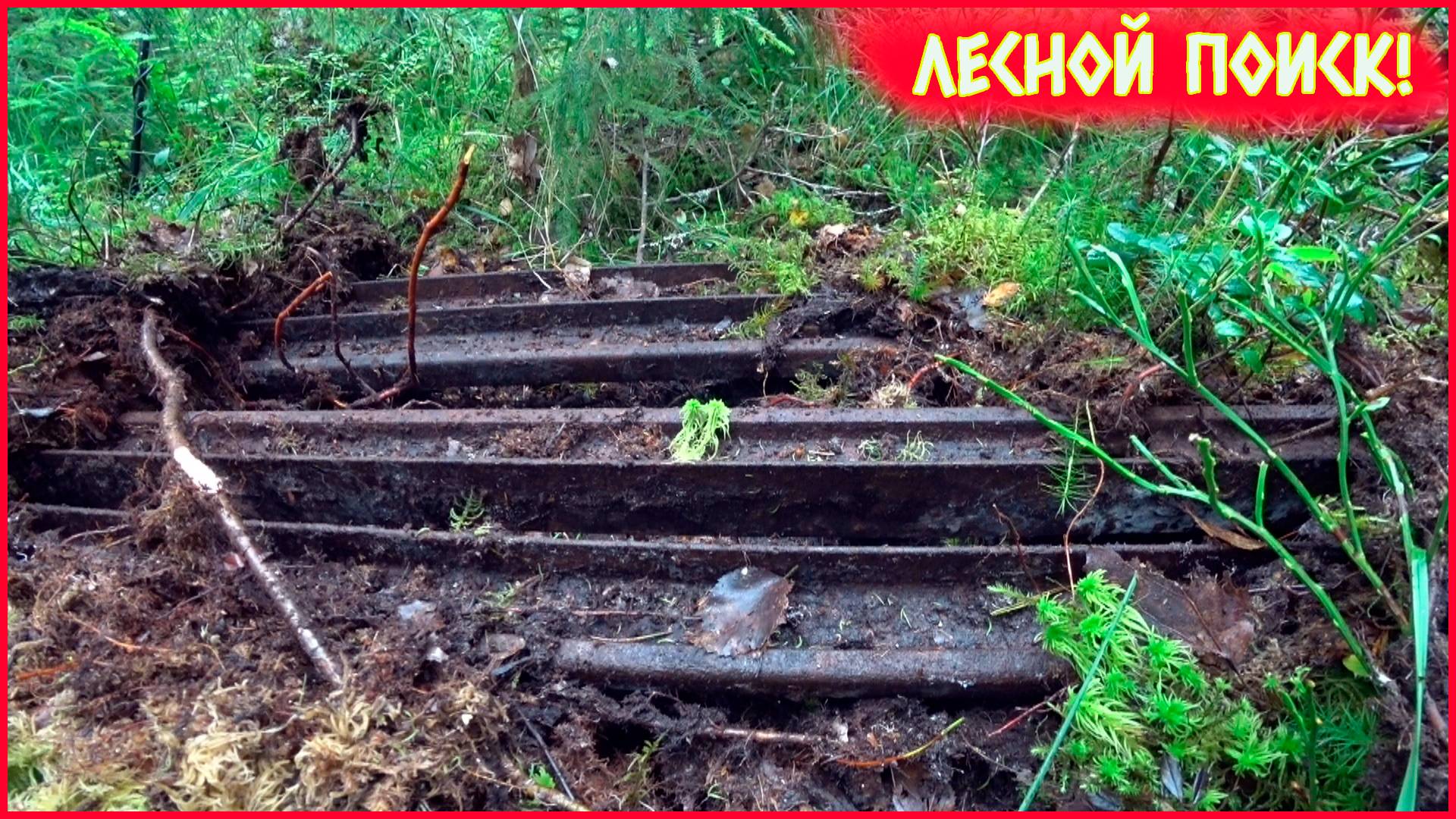 НАШЛИ ТУПИК УЖД С ПАЧКАМИ РЕЛЬС!!! НАМ ОПЯТЬ ПОВЕЗЛО!!! смотреть онлайн