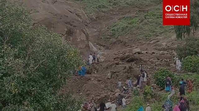 Общественная служба новостей