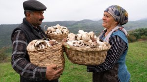 Сбор Диках Грибов На Нагорьях Шахдага 🍄🌿
