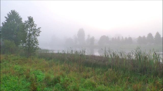 Немного солнца и тумана.mp4 смотреть онлайн