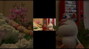 Буба RYTP на кондициях