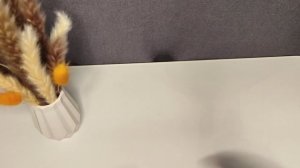 Бешеные крючки на рутуб. Итоги