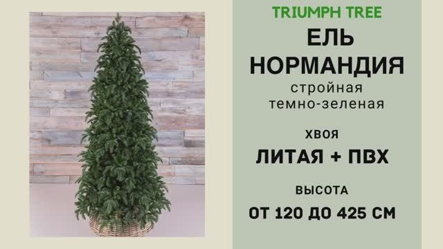 Triumph Tree - ОБЗОР искусственной ели Нормандия стройная темно-зеленая смотреть онлайн