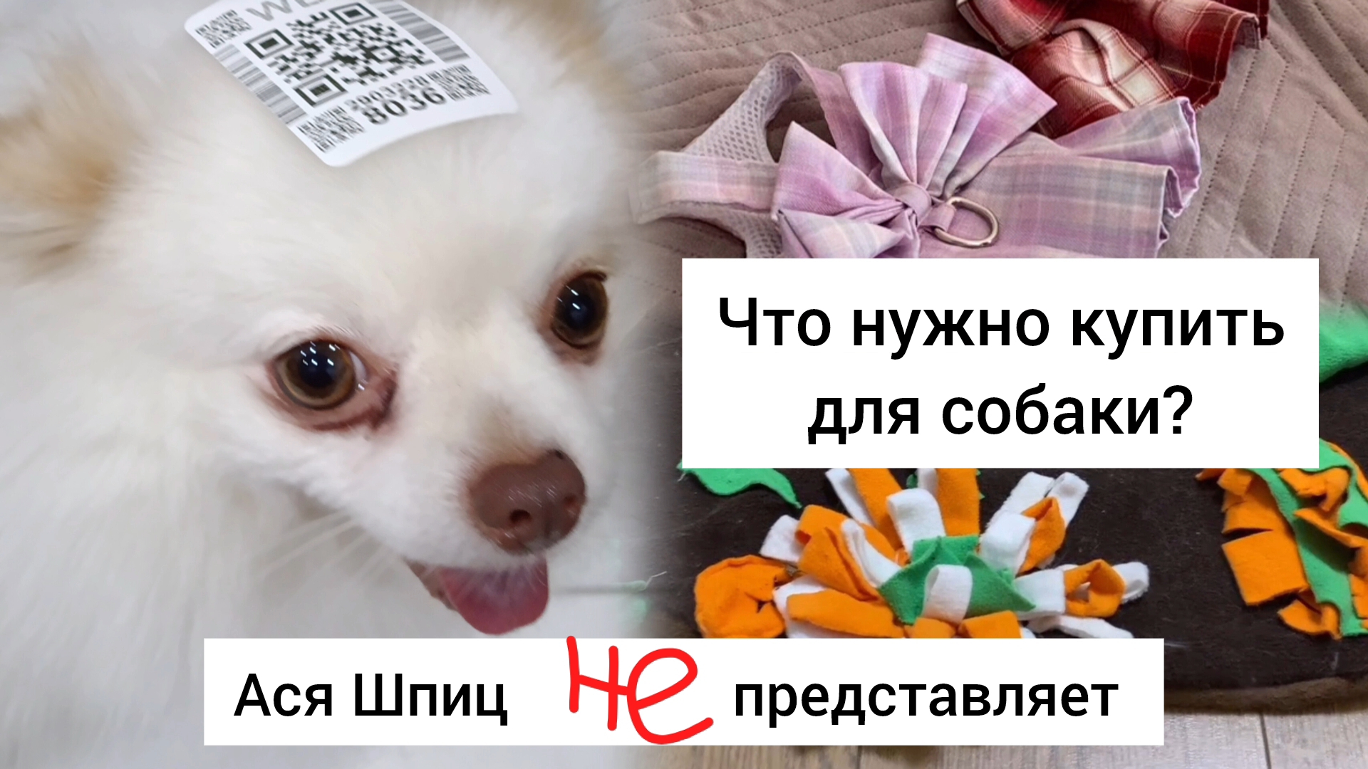 Что нужно купить для собаки смотреть онлайн