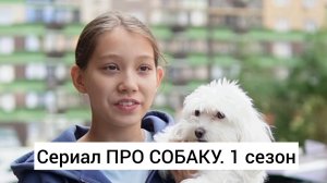 Сериал Про собаку. 1 сезон. 1-7 серии