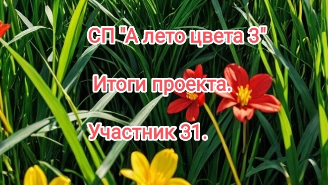 Наталья Сайбель. 