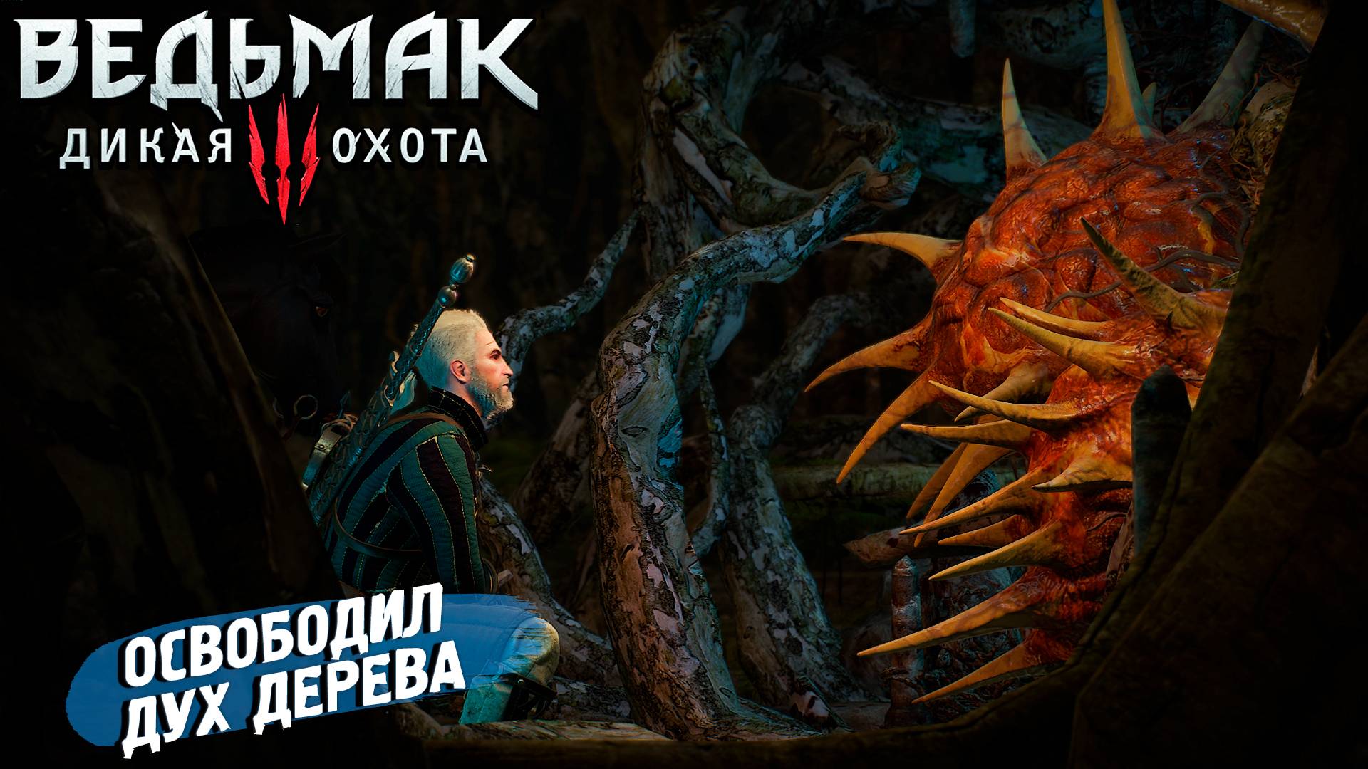ОСВОБОДИЛ ДУХ ДЕРЕВА ➤ Ведьмак 3 Дикая Охота #14