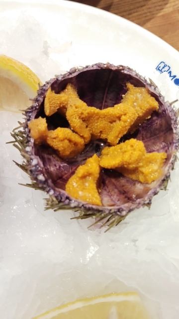 Впервые пробую морского ежа!!!