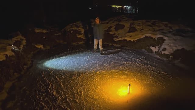 Skating In The Woods