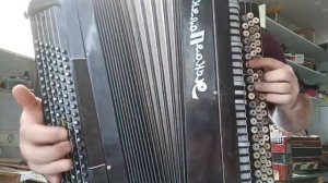 Баян Ясная Поляна . Продажа