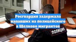 Росгвардия задержала напавших на полицейского в Щелково мигрантов