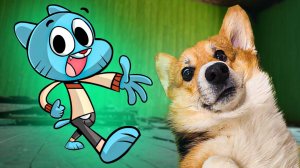 ГАМБОЛ ПРОНИК В НАШУ КВАРТИРУ!! Корги Кекс Говорящая собака