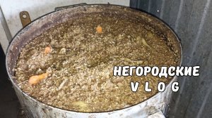 Кто самый голодный?! Каша с тыквой. Опять лечу НУТРИЮ. 27.08.25