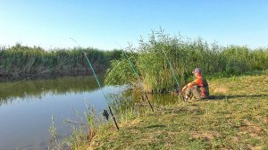 ВОТ ЭТО ОНИ ДАВЯТ И ПРУТ В КАМЫШИ😱!!! ПОСТАВИЛ ДОМ! Рыбалка в Астрахани.