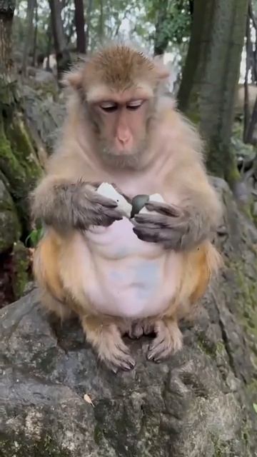 ⛈️KYRZA. განბარ.[GANBAR]Санкт-Петербурга