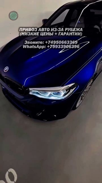 ПРИВЕЗЛИ M5F90 из КОРЕИ ДЛЯ НЕГО! #автоподбор #автоприколы #автоюмор #подборавто #купитьавто #привоз смотреть онлайн