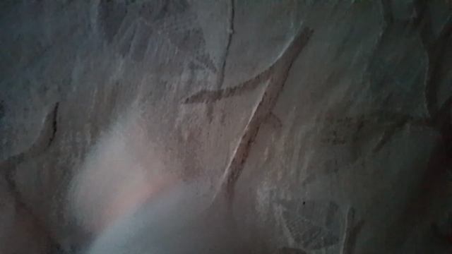 Гусик Валера 🪿