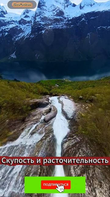 Скупость и расточительность — мудрость Аристотеля