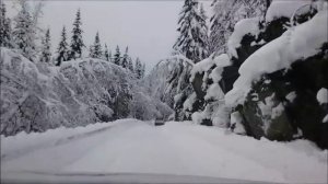 White Christmas - Екатерина Шелехова